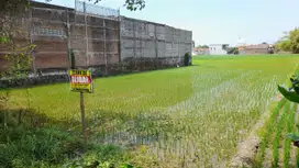 Dijual Tanah Sawah Strategis L. 3.600 m2 di Kec. Mojoagung, SHM, Nego