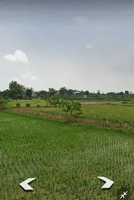 Lahan sawah luas 6 HA hanya 200 meter dari Gerbang Belahanrejo, Gresik