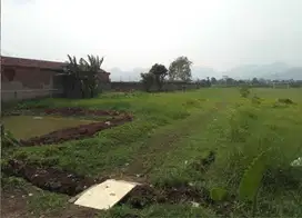 Tanah luas dan murah di mainroad kopo ketapang