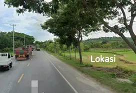 Dijual Tanah Industri Tepi Jalan Raya Rembang