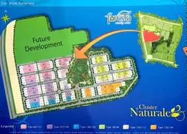 Jual kavling kost Gandeng di Naturale Foresta. RP 14JT Saja/m2. NEGO