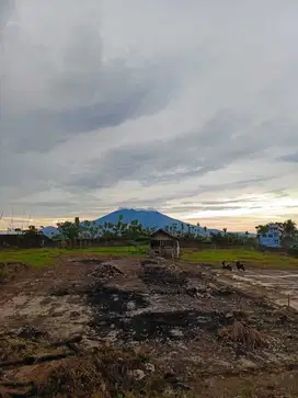 Tanah kavling siap bangun .