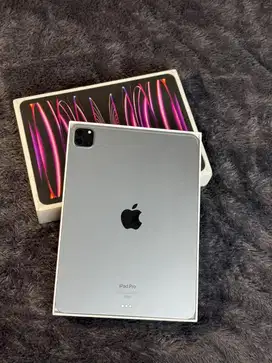 ipad pro m2 11 inch 512gb ibox