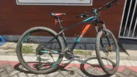 Polygon XTRADA 5 2019