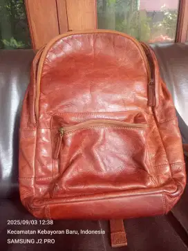 TAS FOSSIL ORIGINAL