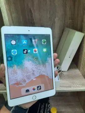 Ipad mini 3 16gb wifi only