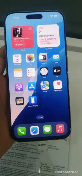 iPhone 16 256 GB Pro Max