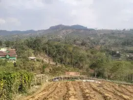 Dijual Tanah Padat view keren Pasirjambu Ciwidey Bandung