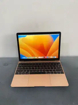 MACBOOK RETINA 2017 12INCH RAM 8GB SSD 256GB