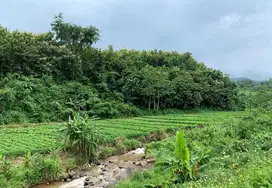 DIJUAL LAHAN TANAH (Dusun Gumeng, Gumeng, Gondang-Mojokerto)