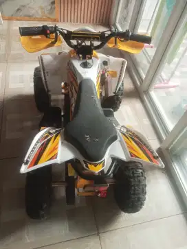 atv mini squad 36v 1000 watt