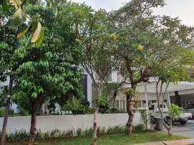 Disewakan rumah mewah area Bintaro Jaya Sektor 7 Tangerang Selatan
