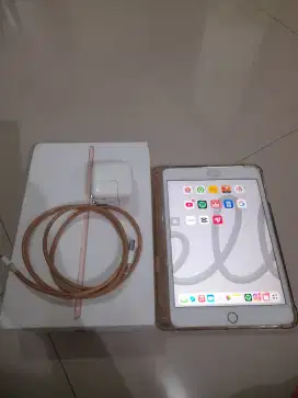 Ipad mini 5 64 gb rosegold ori fuset