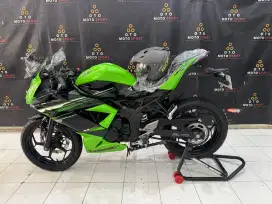 warna favorit kawasaki ninja mono 250SL 2015