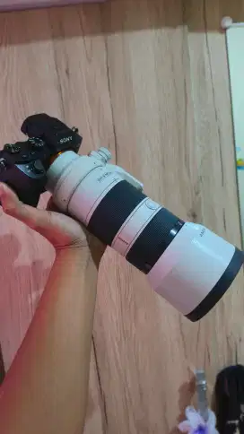 Sony a7 ii + sony 70 200mm f4