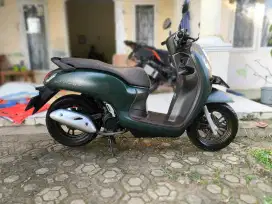 Scoopy prestige hijau
