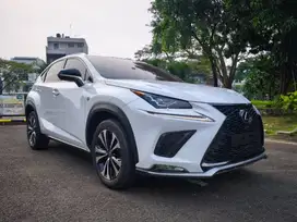 Lexus NX300 2019 F Sport white putih Nx 300 2020 nx300 2018 mobil bu