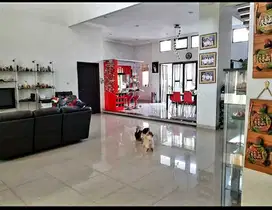 Dijual Rumah 2 Lantai di Alam Sutera Magnolia, Kondisi Bagus Ada Pool