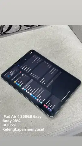 iPad Air 4 11” 256GB Gray Wifi only