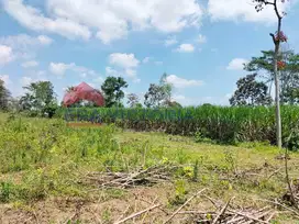 Tanah Luas View Gunung Semeru Investasi Menjanjikan Dekat Pasar Wates