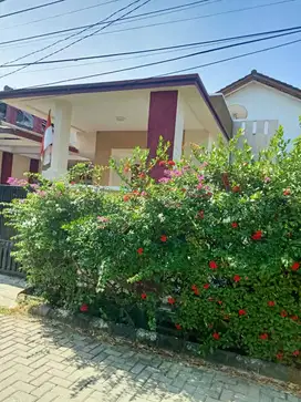 rumah hoek murah aja istimewa di griya bintara indah