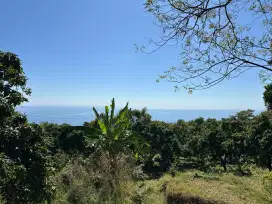Dijual Tanah 1.5 Hektar