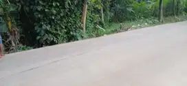 TANAH CANTIK PINGGIR JALAN UTAMA BUAT USAHA GNSINDUR