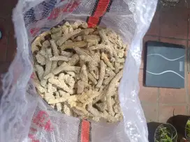 Karang jahe ukuran besar media filter akuarium 20kg