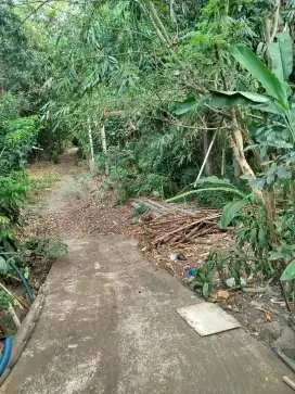 Rumah dgn lokasi strategis