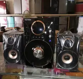 Speaker Polytron
