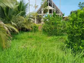 Tanah SHM ukuran 8m x 17m (Nego)