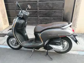 scoopy 2021 ad solo muluss