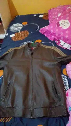 Jaket kulit warna coklat