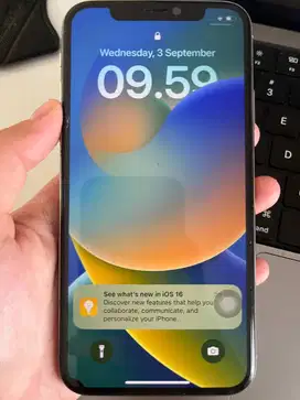 Iphone X 256GB.