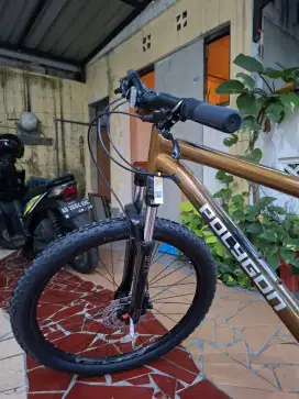 Sepeda Polygon Cascade 5 Gold