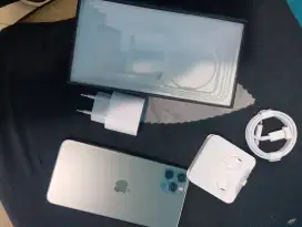 Iphone 11 pro max 256gb bonus banyak