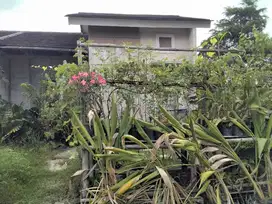 Rumah Murah posisi Hook Citra Indah city