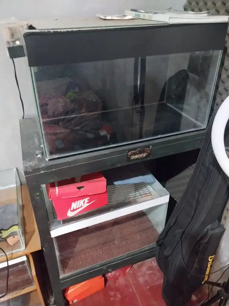 Aquarium dan rak kayu