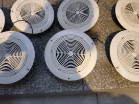 Speaker ceiling toa
