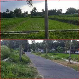 Tanah sangat nyaman dan strategis wedomartani cocok hunian