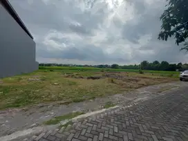 Siap Balik Nama, Tanah Jogja Timur Jl Timoho