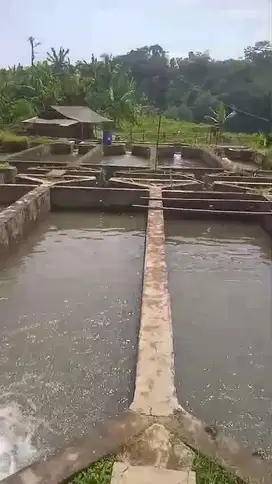Jual tanah darat dan empang murah, LT 4300m², shm,  akses mbl