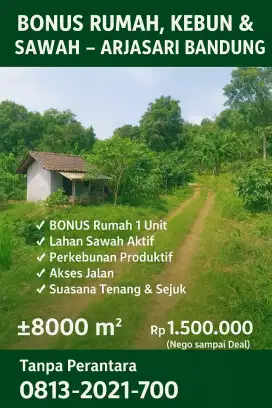 Tanah Luas 8000m² Bonus Rumah,Kebun & Sawah di Arjasari Bandung