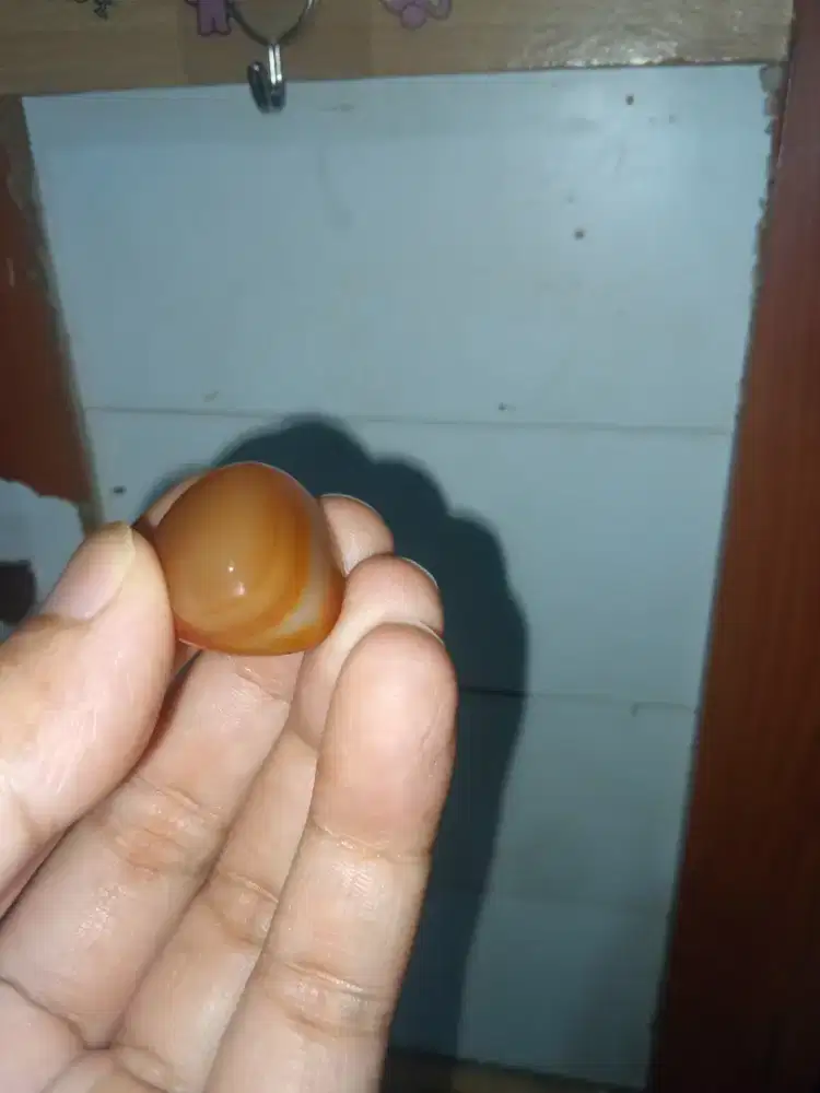 Akik karang Nunggal biji salak