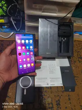 Samsung Note 20 Sein 8/256 Normal Bisa TT Pastinya