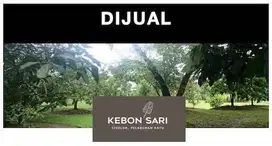 Dijual Tanah/Kebun Kebonsari
