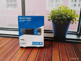 SSD NVME WD BLUE SN550 500GB Second Normal Siap Pakai