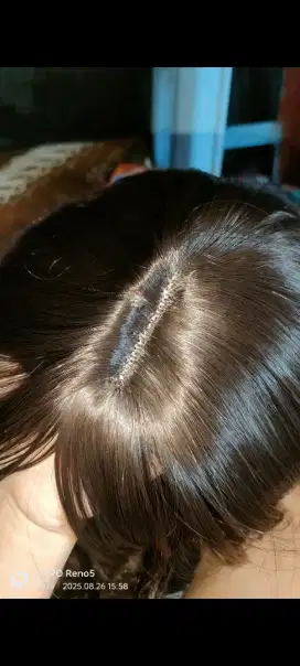 Wig / rambut palsu