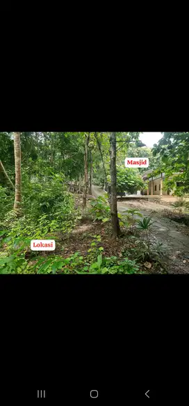 JUAL TANAH DI SRIKAYANGAN SENTOLO KULONPROGO DEKAT MASJID