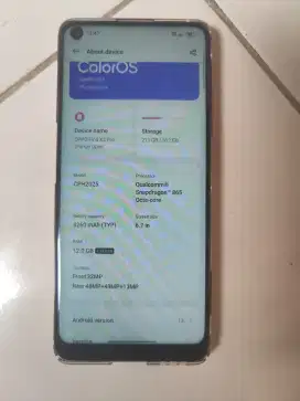 Oppo Find X2 Pro CPH2025
Ram 24GB/512GB